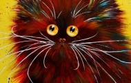 Funny eye of cats by Kim Haskins