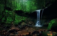 Mysterious ghostly forest that resemble scenes from fairy tales of the Brothers Grimm