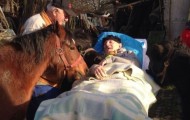 Kiss goodbye to a dying worker from a zoo giraffe