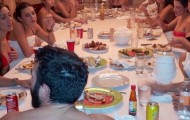 Incredibly luxurious life of a professional poker player Dan Bilzerian