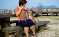Okunoshima Island. Journey to the “Island of rabbits” in Japan