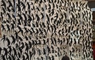 Collection of Best Street Art of the World