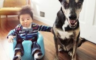 Charming portraits of the 10-month Jasper with his four-legged friend Zoe