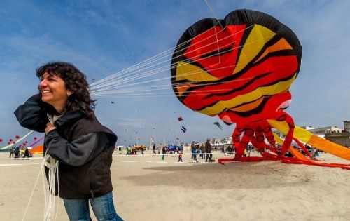 kites festival france