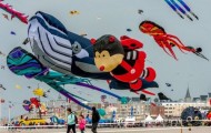 Kite Festival in France