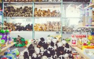 Find Momo! Dog who loves to play hide and seek