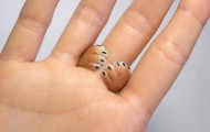 Ring in the form of animals from Jiro Miura