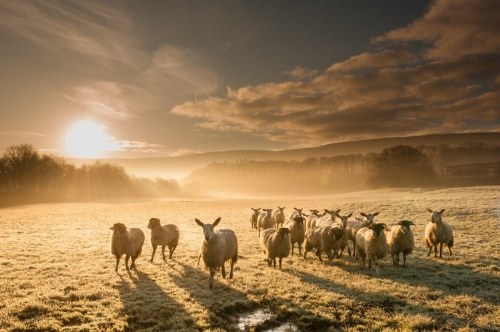 beautiful natural landscapes