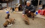 Japanese farmer refuses to leave the city because of the remaining infected animals there