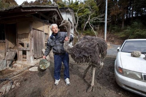 only resident tomioka