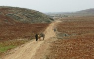 Visual differences between North Korea and South Korea comparative photographs