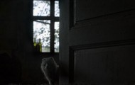 Wild animals living in an abandoned house