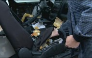 Bears tried to eat one car