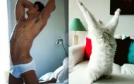 Charming cats recreating models photos