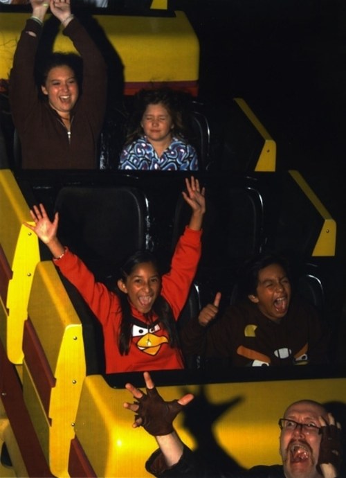 funny roller coaster pictures