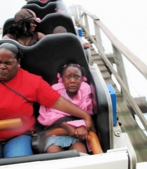 funny roller coaster pictures