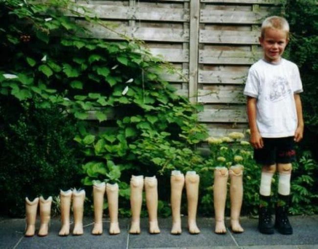 funny pictures