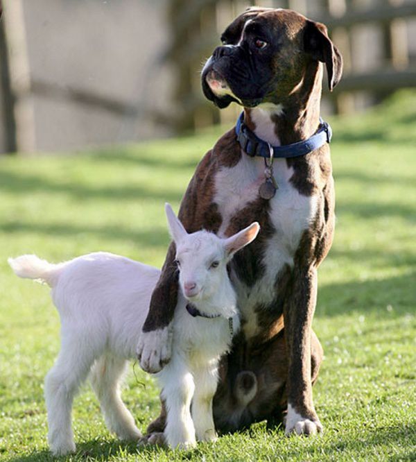funny pictures