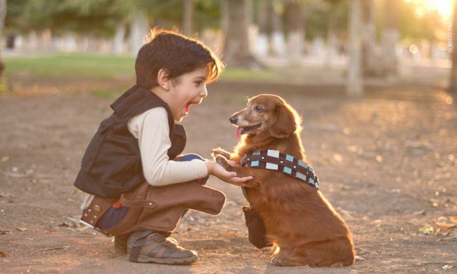 funny pictures