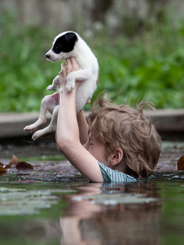 funny pictures