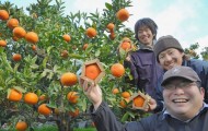 Curious pentagonal oranges