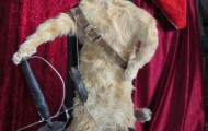 29 photos that prove taxidermists are sometimes insane