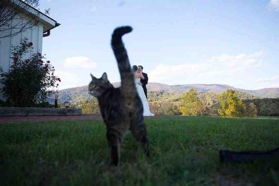 funny fails