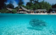 Cute photos shots underwater