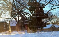 Childhood dream: Treehouse